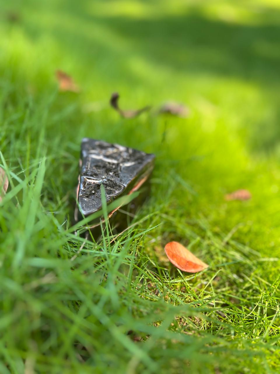 Why This Experience Feels So Special to Me